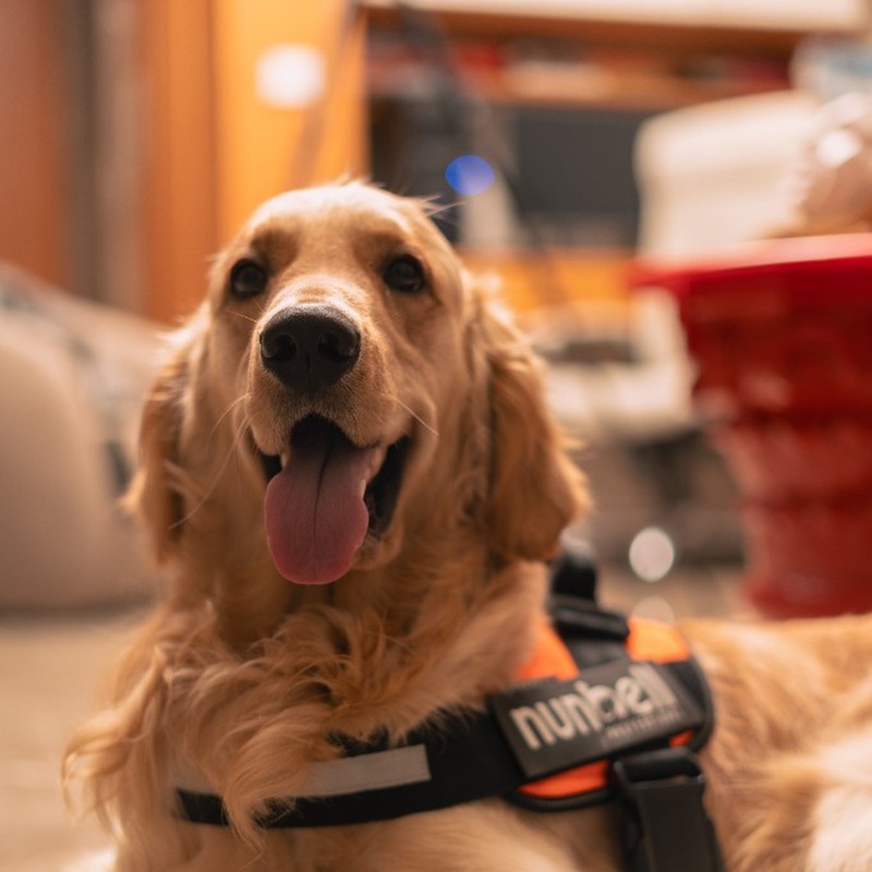 Enzo, Chief Happiness Officer at RDA